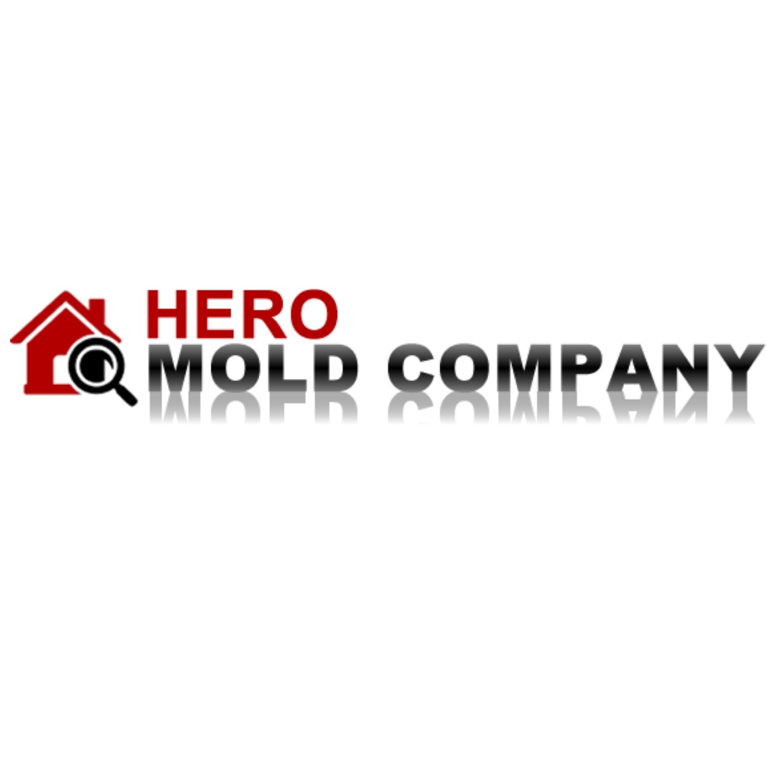 Hero Mold Company
